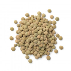 Gröna linser 3 kg, Ekologiska