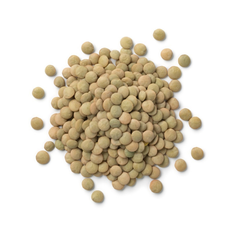 Gröna linser 3 kg, Ekologiska