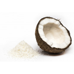 Desiccated Coconut Organic 1kg