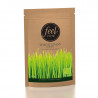 Vehnänorasjauhe, Luomu 150 g