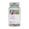 Vitex - Kyskt träd 60 kaps, Natura Media