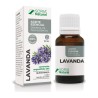 Laventeli, eteerinen öljy 15 ml
